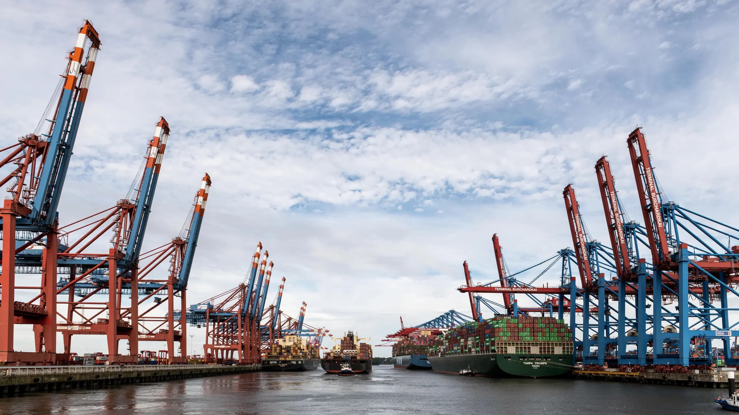 Rows of gantry cranes working container ships on both sides of a harbour channel